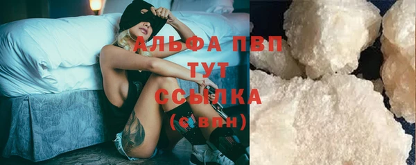 ПСИЛОЦИБИНОВЫЕ ГРИБЫ Дмитров