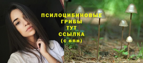 ПСИЛОЦИБИНОВЫЕ ГРИБЫ Дмитров