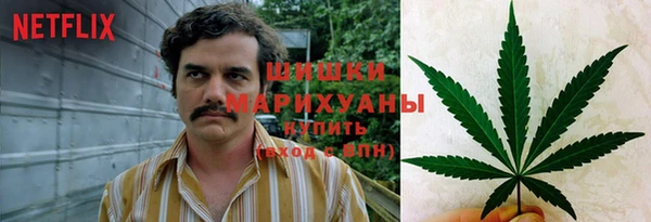 ПСИЛОЦИБИНОВЫЕ ГРИБЫ Дмитров