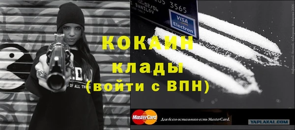 стаф Дмитриев