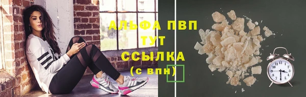 стаф Дмитриев