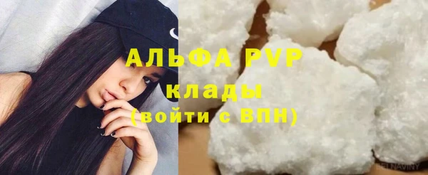 стаф Дмитриев