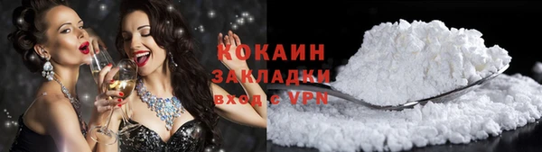 стаф Дмитриев
