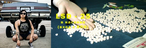 ПСИЛОЦИБИНОВЫЕ ГРИБЫ Дмитров